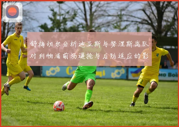 舒梅切尔分析迪亚斯与努涅斯离队对利物浦前场逼抢与后防适应的影响